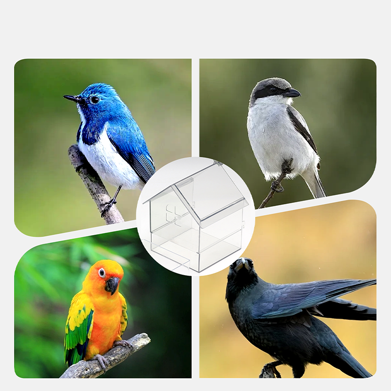 🔥 LAST DAY PROMOTION - 50%OFF 🔥 Pull-Out External Parrot Feeder